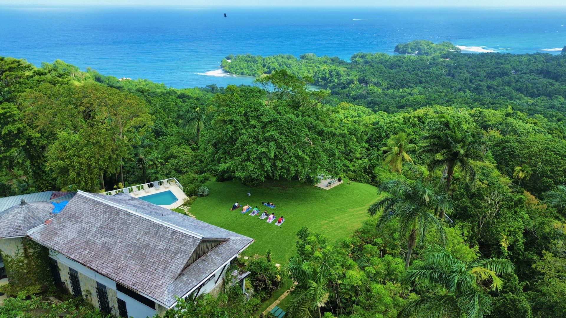 Platinum Jamaica