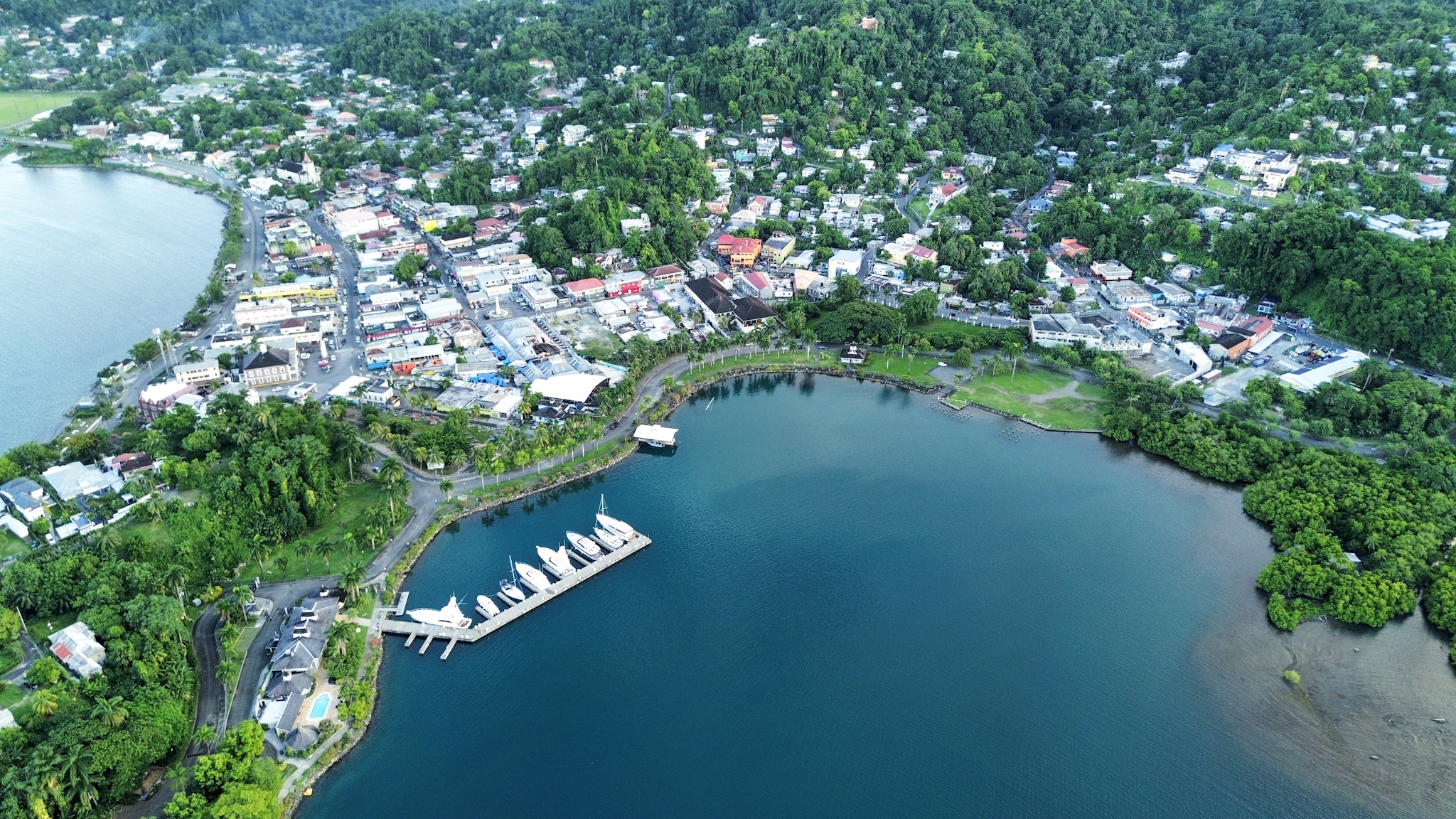 dji_fly_20241006_162630_131_1728250004478_photo_optimized