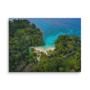 https://www.bestjamaicanexperience.com/wp-content/uploads/2025/05/canvas-in-24x32-wall-6829e38c7f535-300x300.png